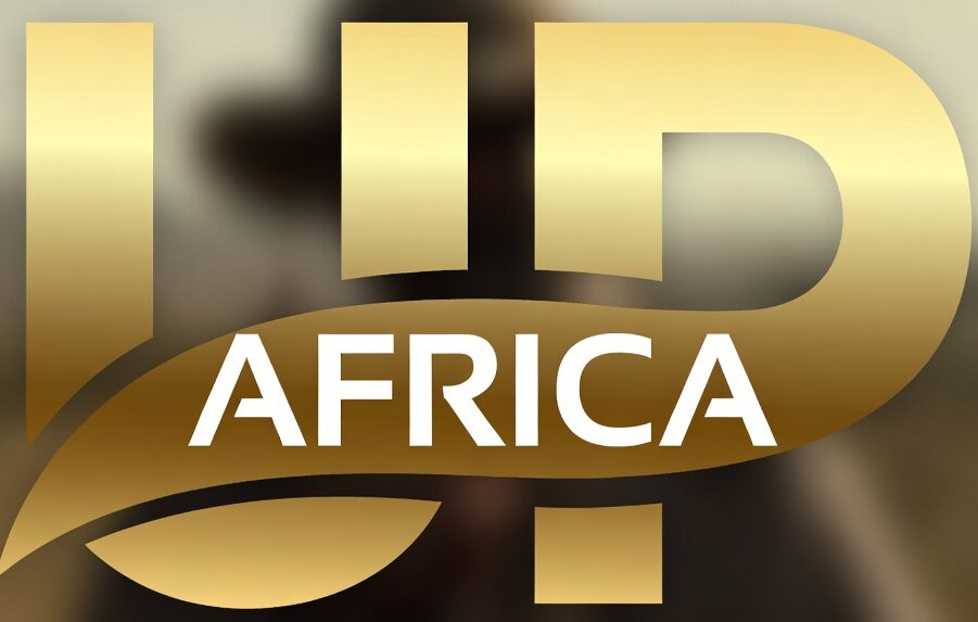 learn professional digital skills